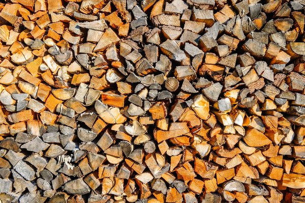 Comprendre l'origine et l'utilisation de l'énergie biomasse